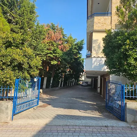 Cozy Sun * פוליכרונו